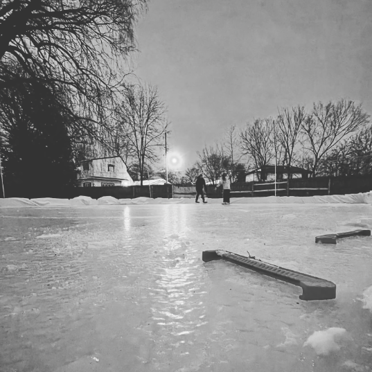 Backyard Ice Rink Photo